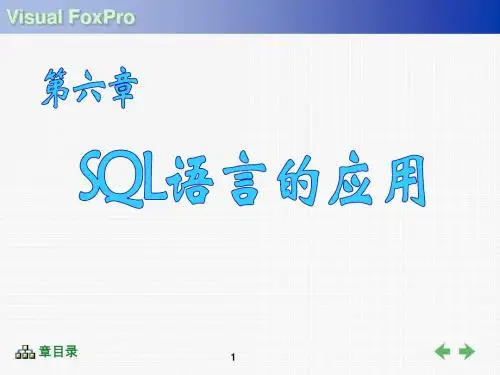 第六章 SQL语言的应用