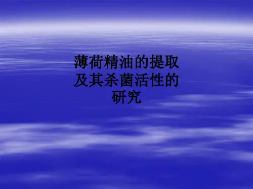 薄荷精油的提取及其杀菌活性的研究ppt课件