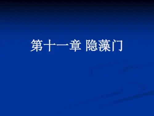第四章 隐藻门