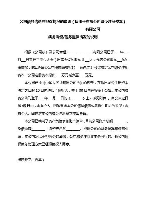 公司债务清偿或担保情况的说明