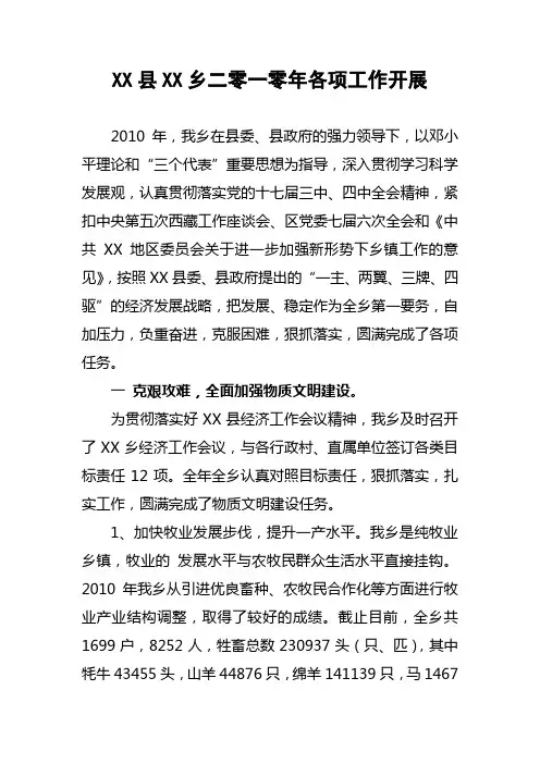 XX县XX乡2010年各项工作总结