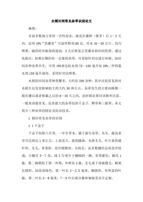 水稻田间常见杂草识别论文