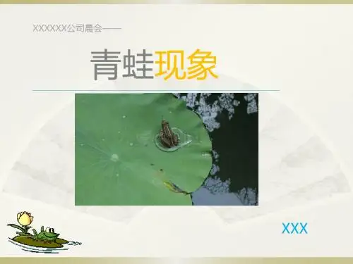 青蛙现象-XX
