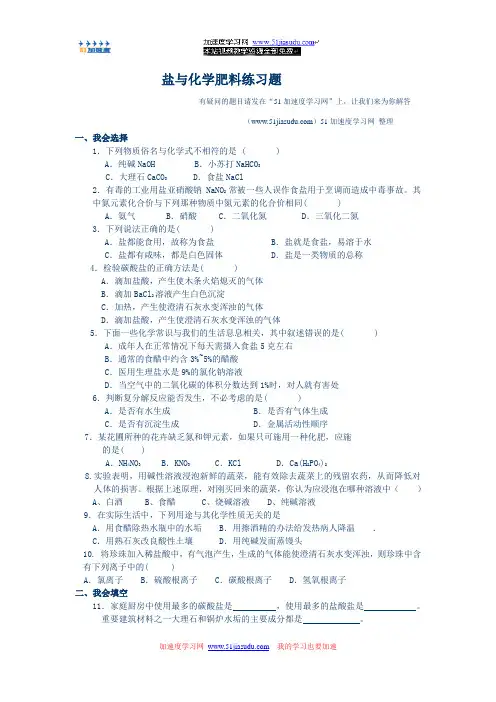 《盐与化学肥料》基础练习题