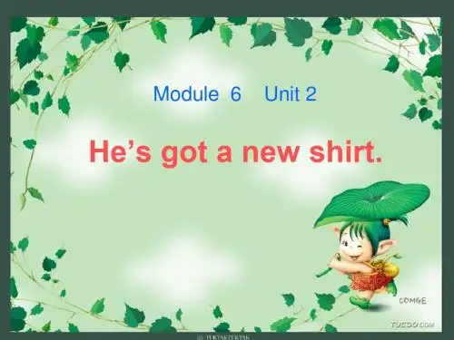 三上M6U2 He’s got a new shirt课件
