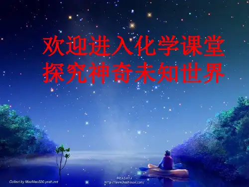 初中化学优质课公开课课件 (9)
