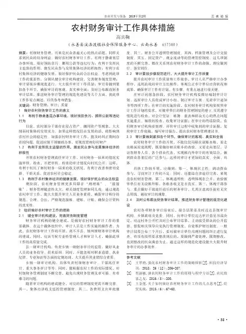 农村财务审计工作具体措施