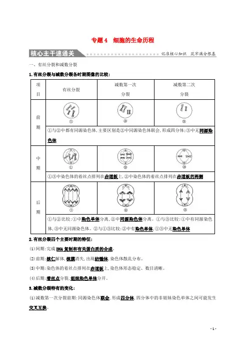 【复习必备】2020版高考生物二轮复习 专题四 细胞的生命历程自查学案