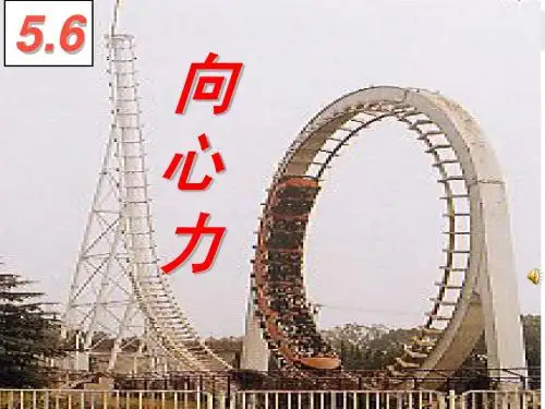 5.6向心力1