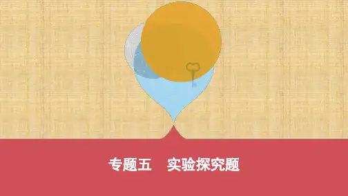 河北中考化学 17_专题五 实验探究题