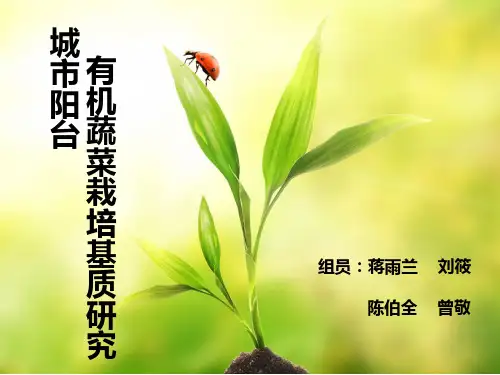 阳台蔬菜总结版