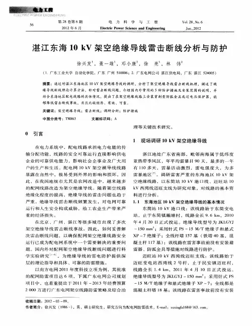 湛江东海10kV架空绝缘导线雷击断线分析与防护