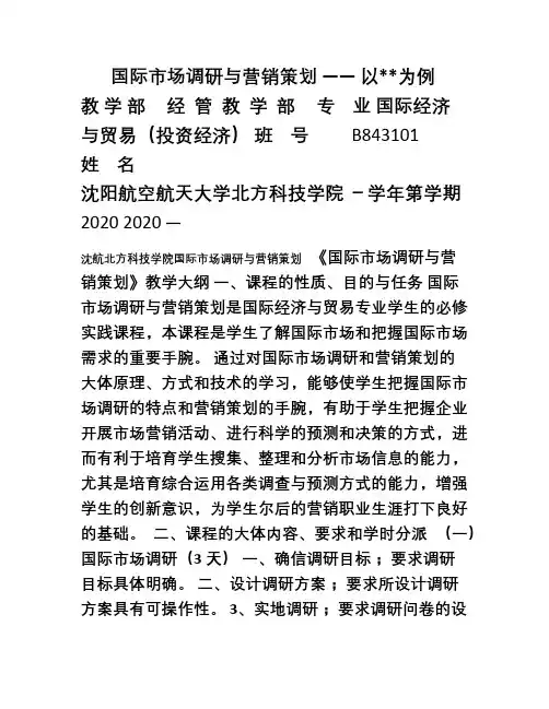 国际市场调研与营销策划moban