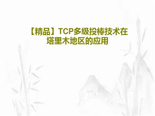 【精品】TCP多级投棒技术在塔里木地区的应用共20页