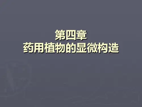 药用植物的显微构造ppt课件 原创
