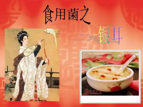 银耳--曾凡凡2008305201774