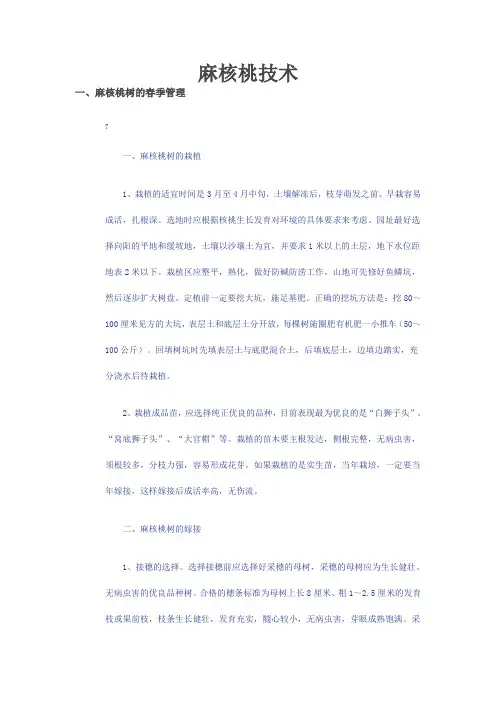麻核桃种植技术