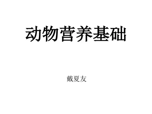 动物营养基础