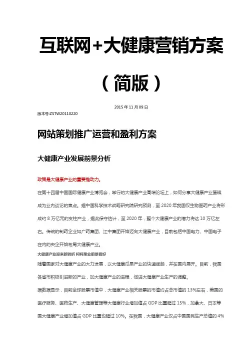 互联网 大健康营销方案