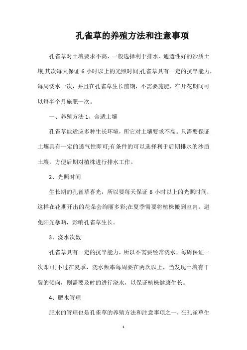 孔雀草的养殖方法和注意事项 2