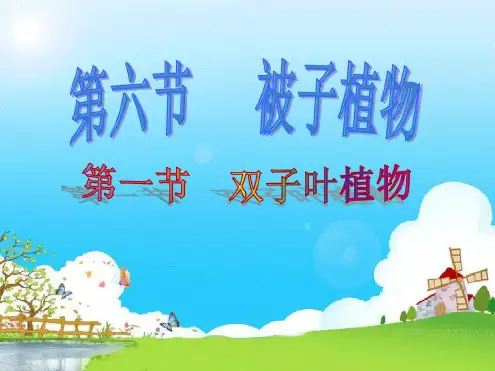 冀少儿2011课标版初中生物七年级上册第一单元第三章第六节被子植物(共42张)(20200410190328)
