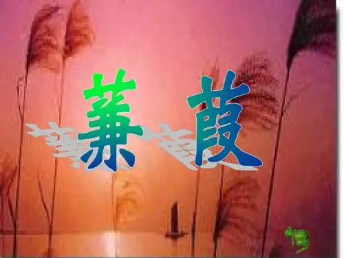 《蒹葭》的PPT