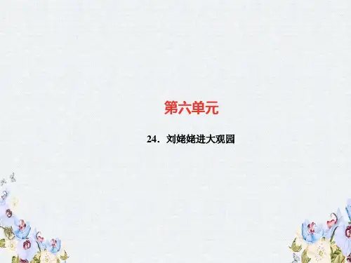 九年级语文上册第六单元24刘姥姥进大观园习题课件新人教版