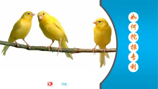 如何挖掘专利