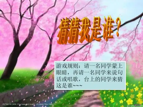 再见,我的小学生活