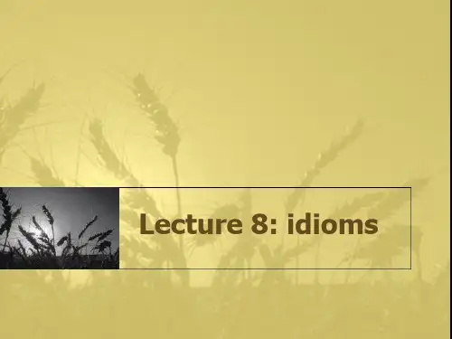 8_idioms