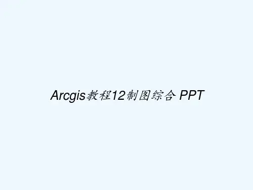 Arcgis教程12制图综合 PPT