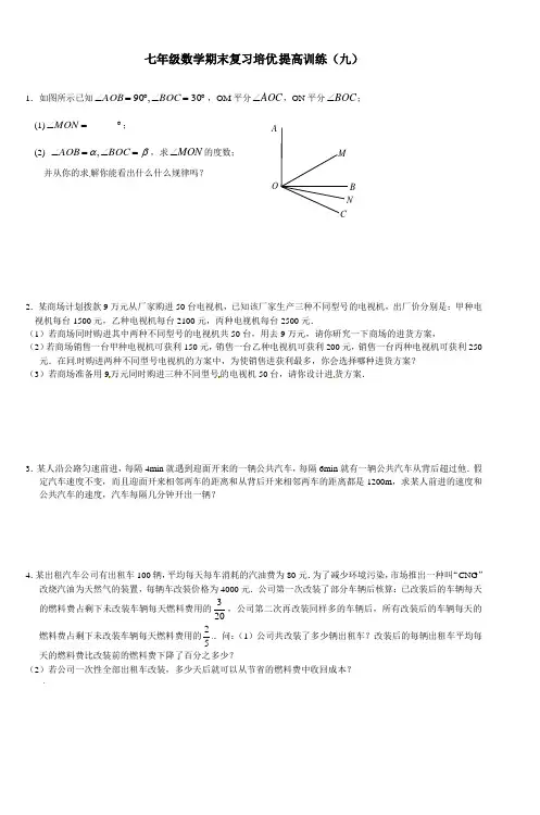 七年级数学期末复习培优提高训练(九)