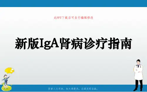新版IgA肾病诊疗指南PPT课件