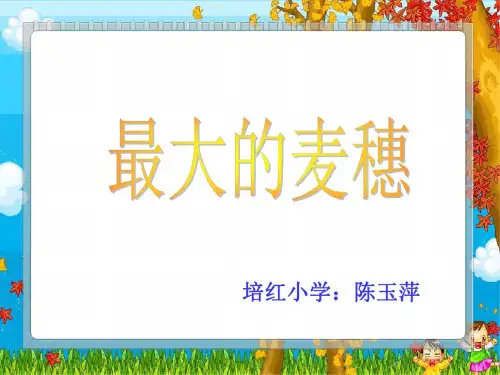 六年级语文最大的麦穗2
