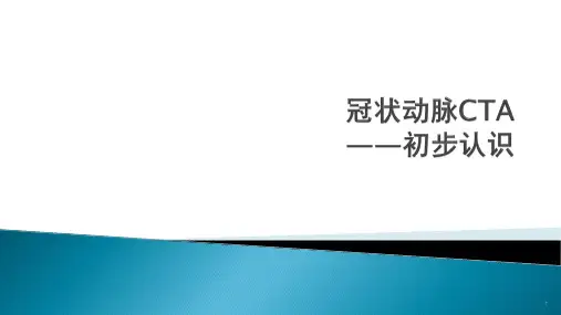 (医学课件)冠状动脉CTAppt演示课件