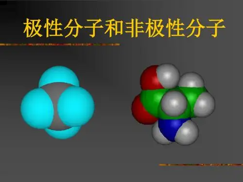 高一化学极性分子和非极性分子(新2019)