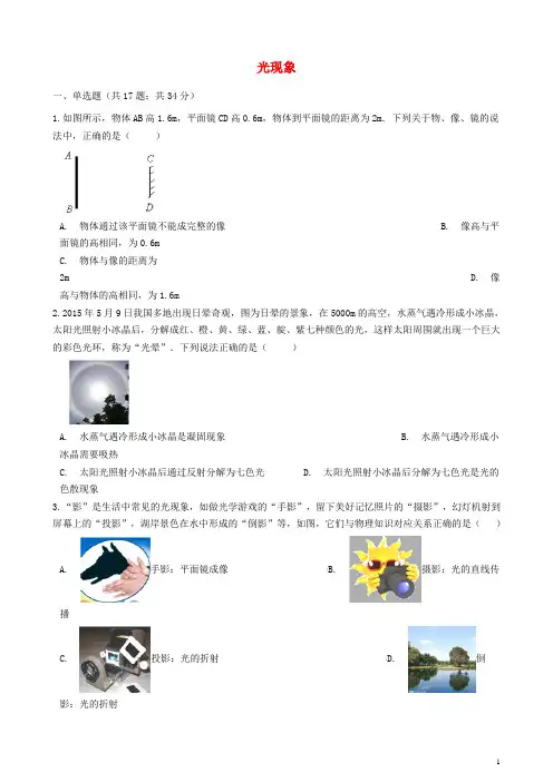 中考物理专题复习光现象_
