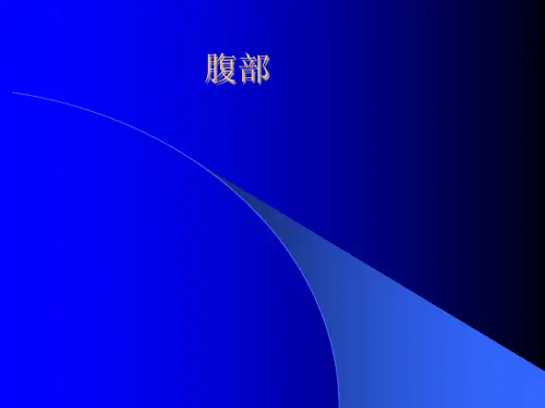 腹部CT常见影像