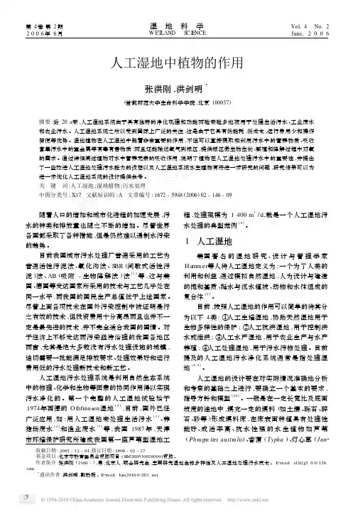 人工湿地中植物的作用_张洪刚
