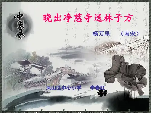 古诗二首 人教部编版优秀课件