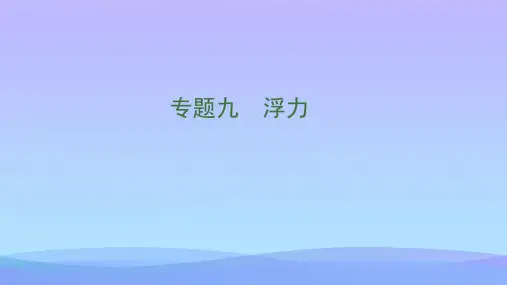 2018届中考物理总复习ppt(48份) 人教版3优秀课件