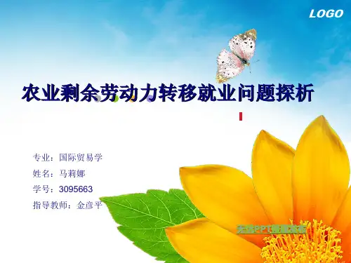 农业剩余劳动力转移就业问题探析