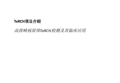 ToRCH检测流程及其临床应用