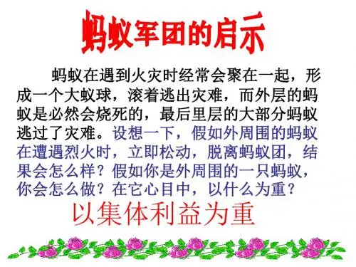 2.26为了集体的发展课件