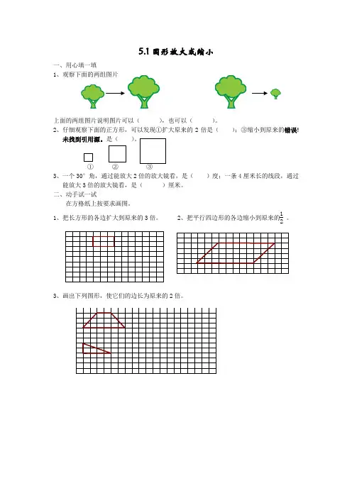 5.1图形放大或缩小