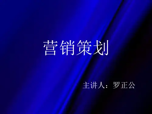 营销策划讲义555