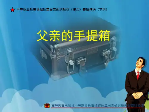 《父亲的手提箱》ppt课件培训资料