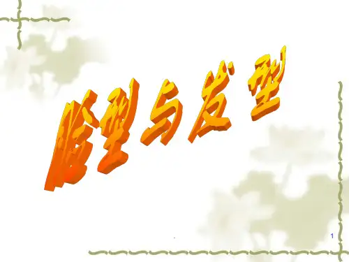 脸型与发型PPT课件