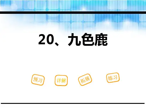 《九色鹿》PPT【精品推荐课件】