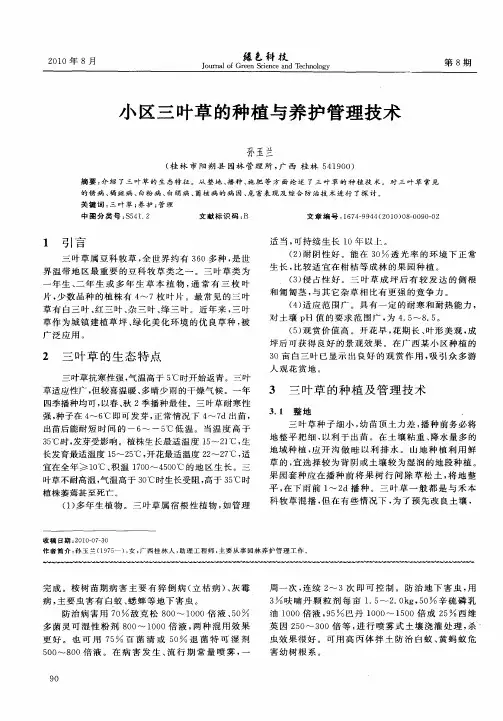 小区三叶草的种植与养护管理技术